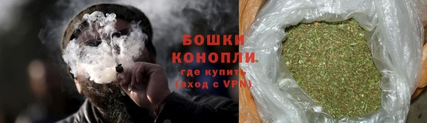 индика Куйбышев