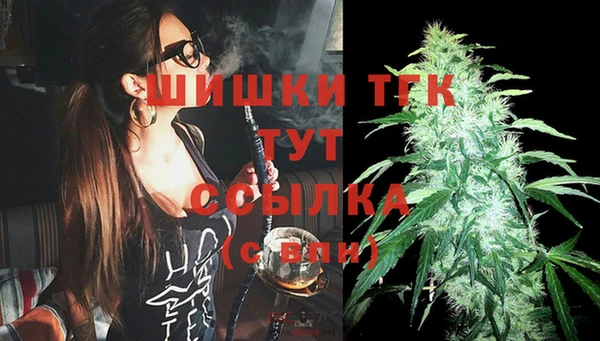 дживик Тайга