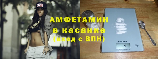шишки Лабытнанги