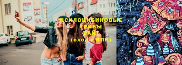 индика Куйбышев
