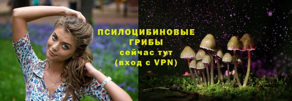 индика Куйбышев